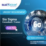six sigma consultant